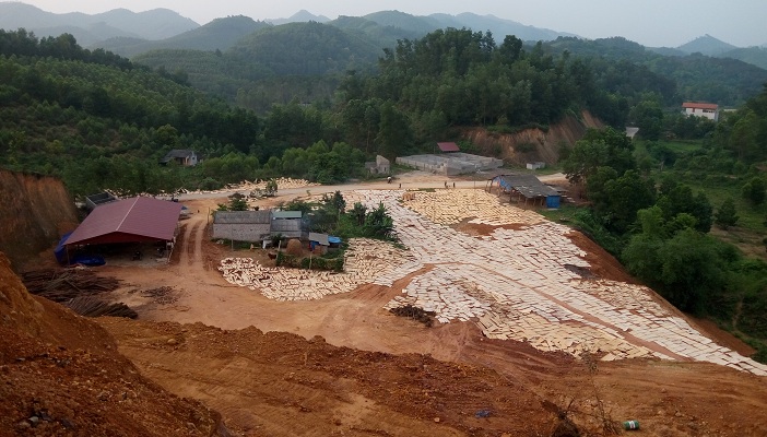 Bảng chữ nổi