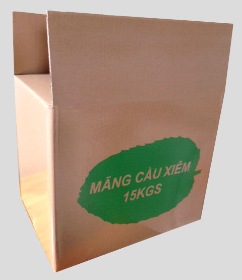 Thùng Carton