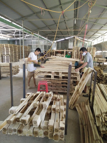 Gia Công Cưa, Xẻ Gỗ