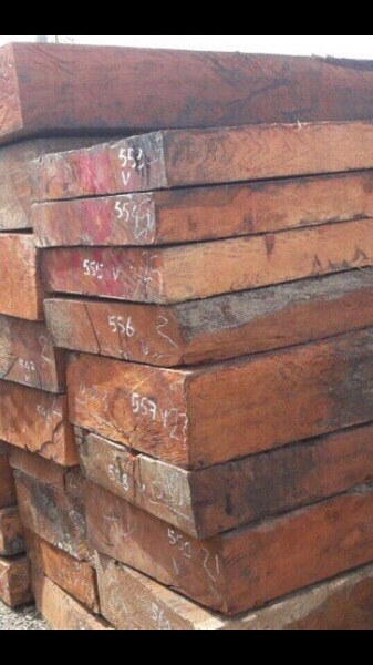 Gỗ nguyên liệu các loại