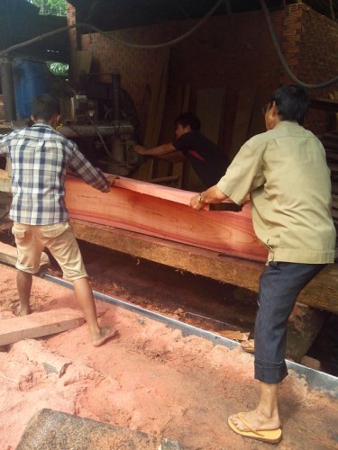 Gỗ nguyên liệu