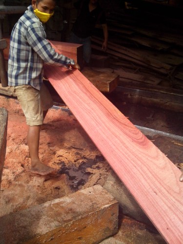 Gỗ nguyên liệu