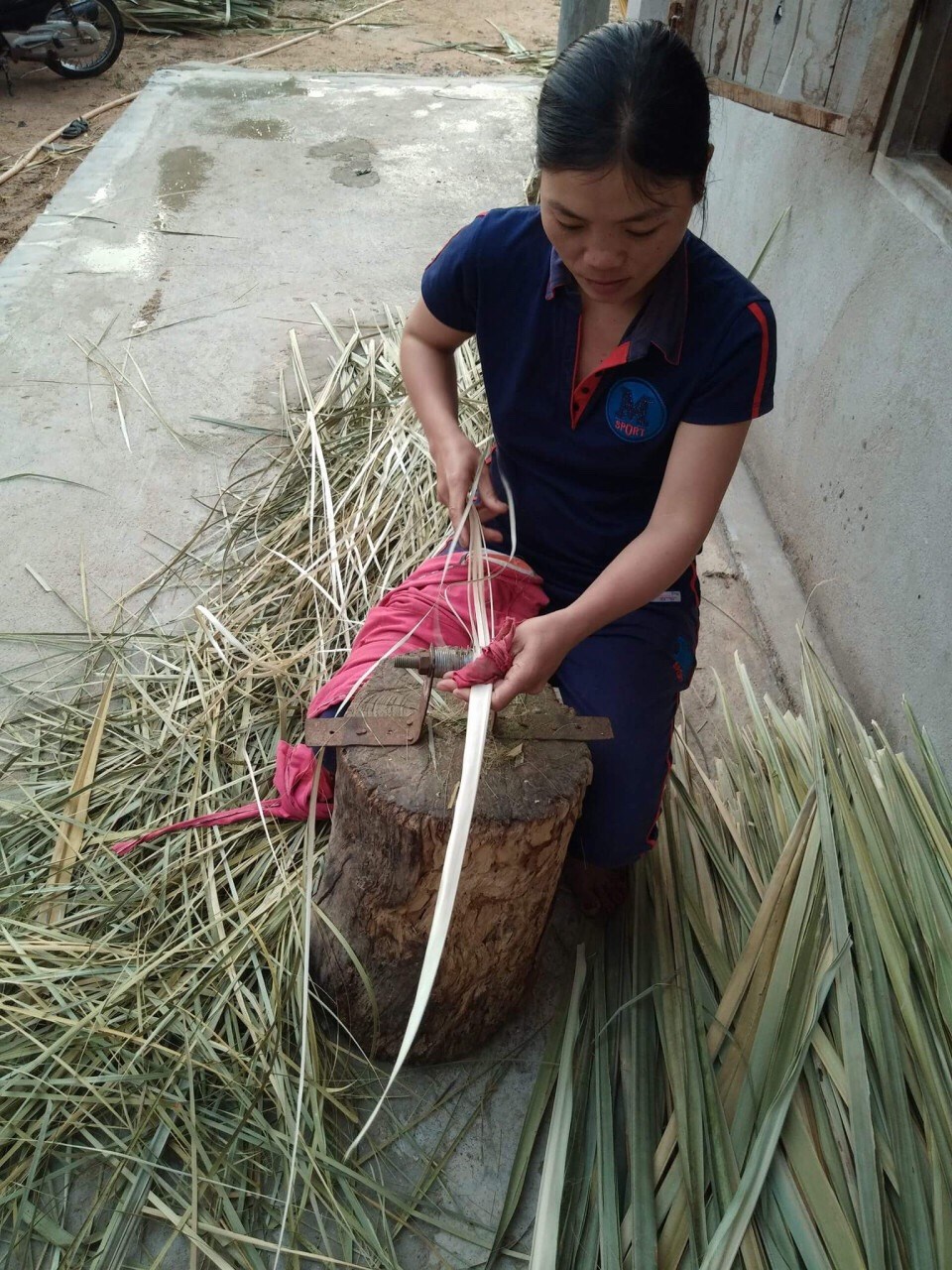 Đệm vi sinh dạng viên bánh xe