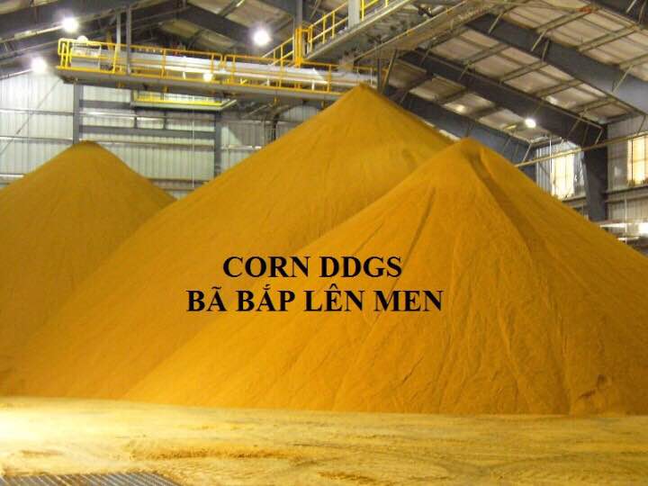 Bã bắp lên men