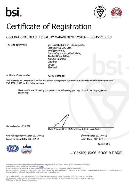 ISO 45001:2018
