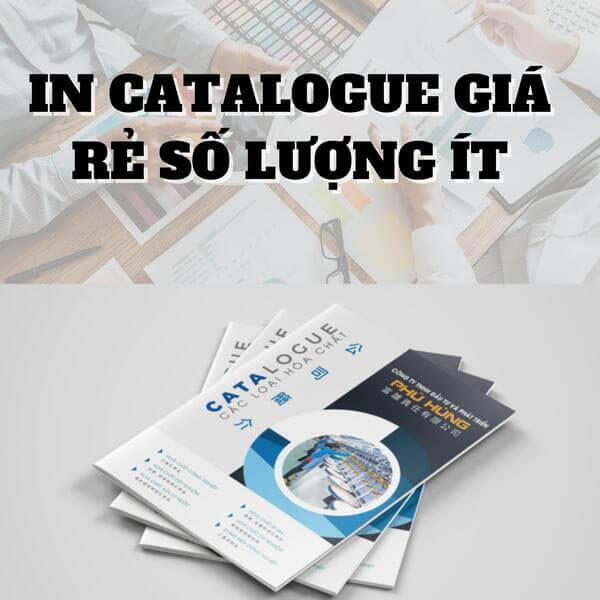 In catalogue