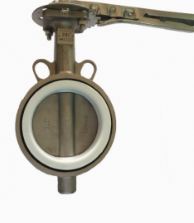 Van bướm inox