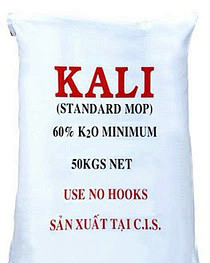 KCL