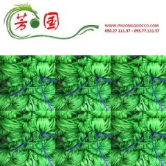 Dây kẽm bó- lá
