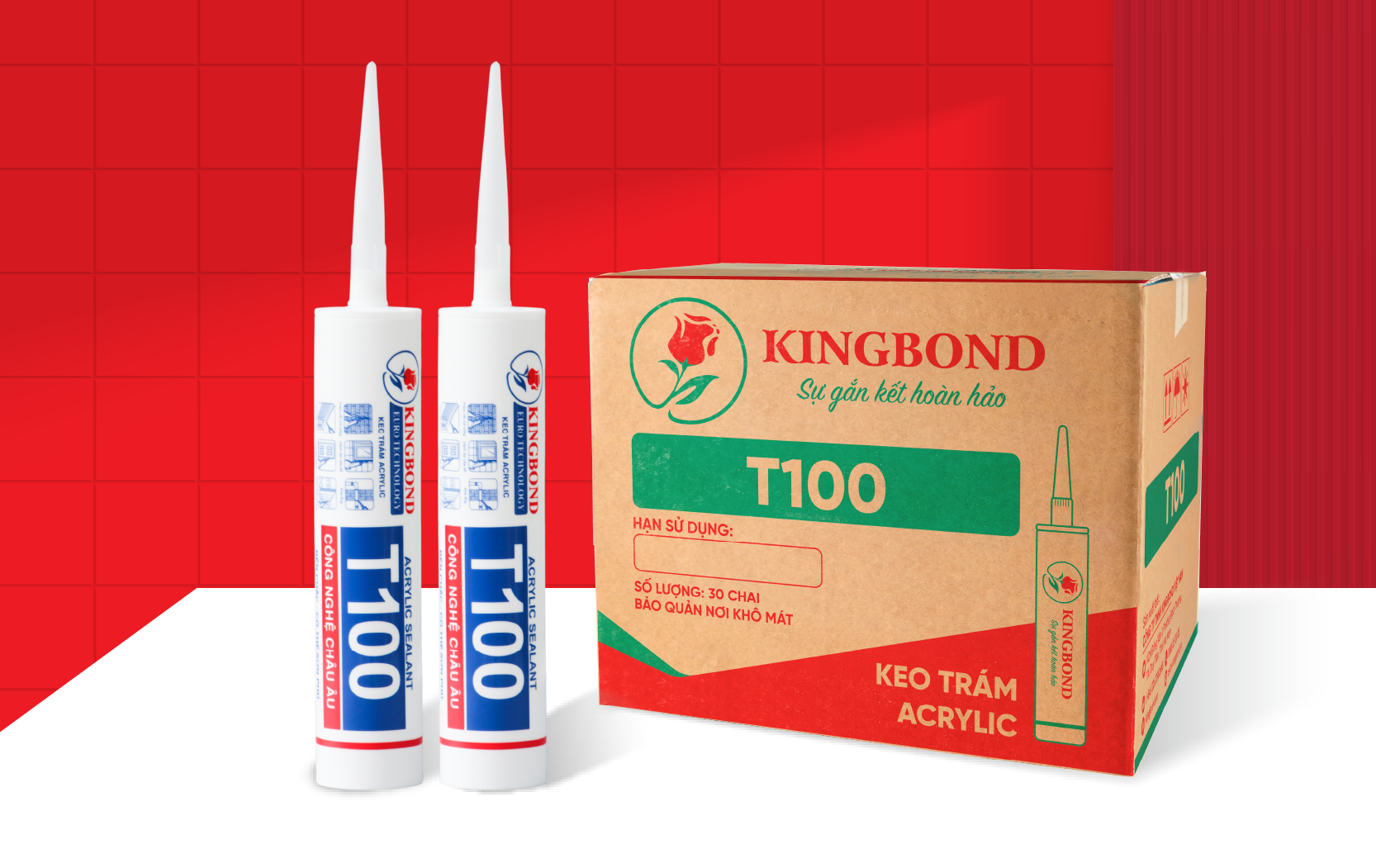 Keo trám acrylic T100