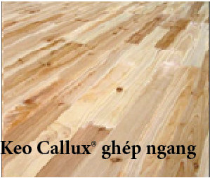 Keo Callux ghép ngang
