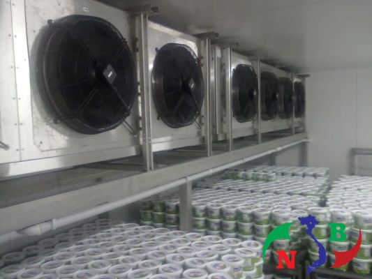 Kho lạnh bảo quản kem