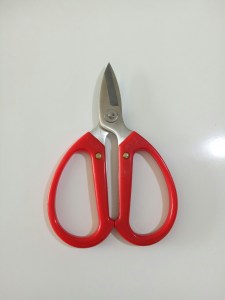 LDH-666