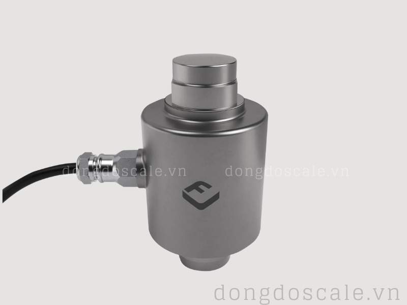 Loadcell Flintec RC3D