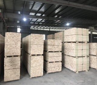 LVL Plywood