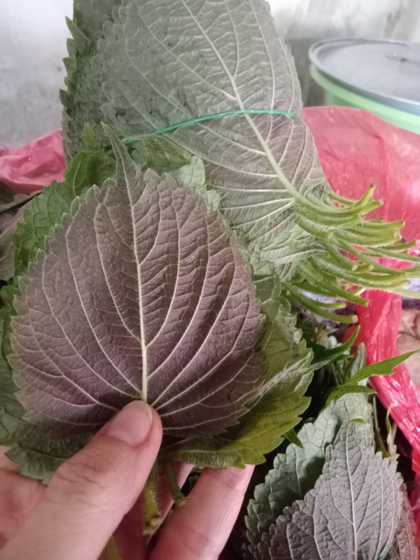 资质或荣誉图片