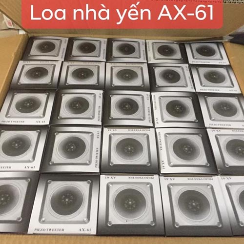 Loa ru chính hãng AX-61