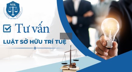 Luật sở hữu trí tuệ