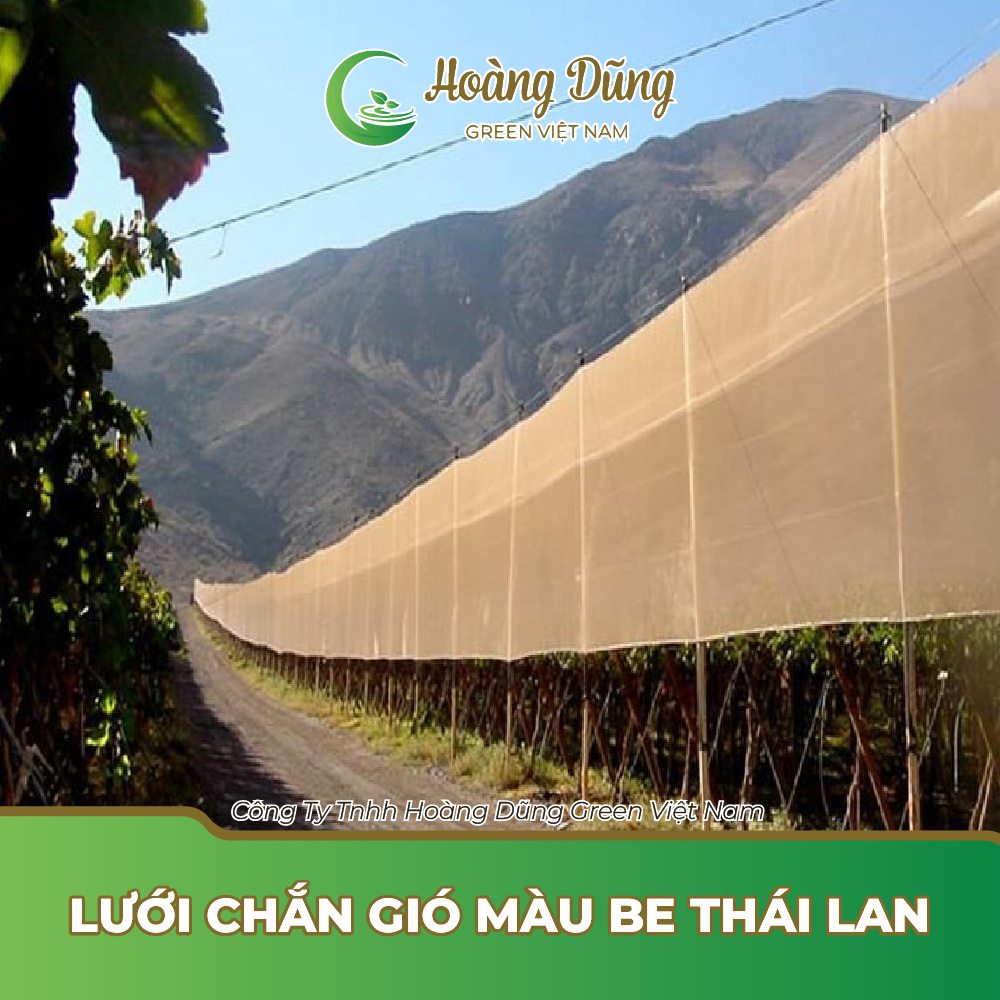 Lưới chắn gió màu be Thái Lan