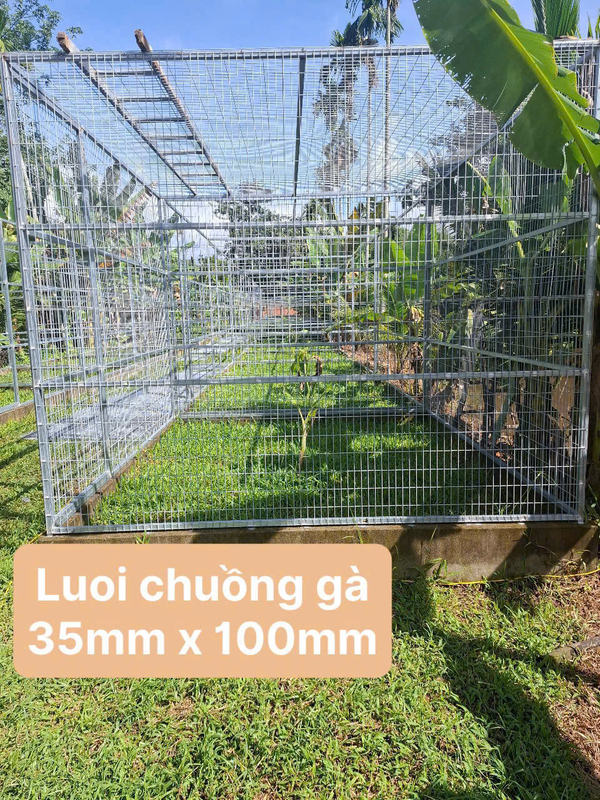Lưới chuồng gà