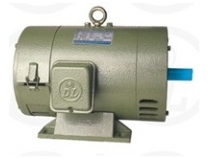 Motor DC