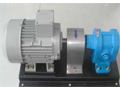 MSL 20 Completed Pump set