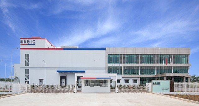 Magic Vina Plant