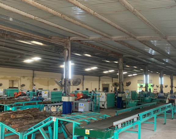 Dây chuyền xẻ gỗ tự động