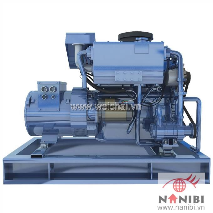Máy phát điện thủy CCFJ12J-W2
