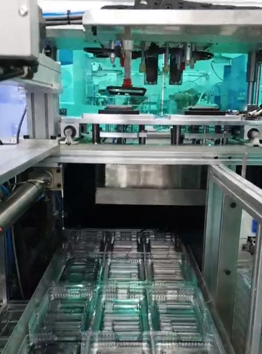 Máy cấp tray và đóng gói