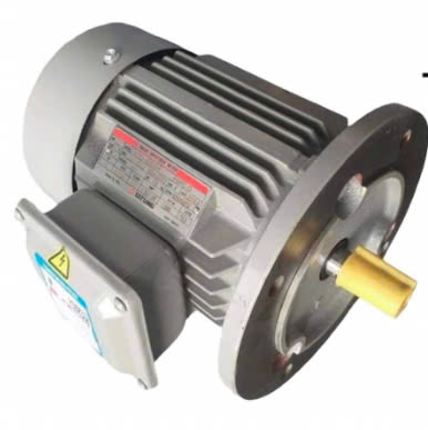 Motor Tatung B5