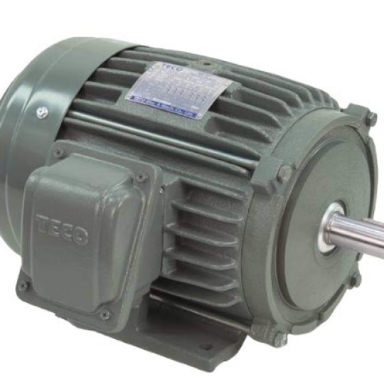 Motor Teco
