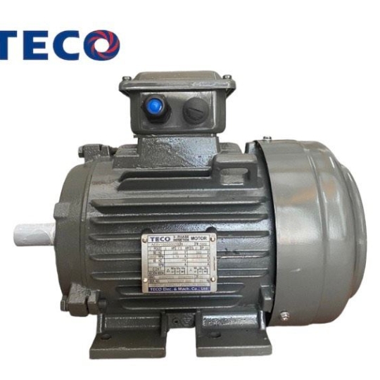 Motor Teco AESV IE2