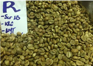 Cà phê rang xay Robusta