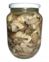 Nấm sò nâu