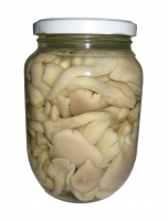 Nấm sò trắng