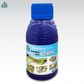Nano DG bạc