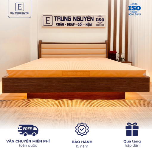 Nệm cao su thiên nhiên Trung Nguyên Gold 1m6 x 2m