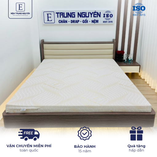 Nệm cao su thiên nhiên Trung Nguyên Gold 1m4 x 2m