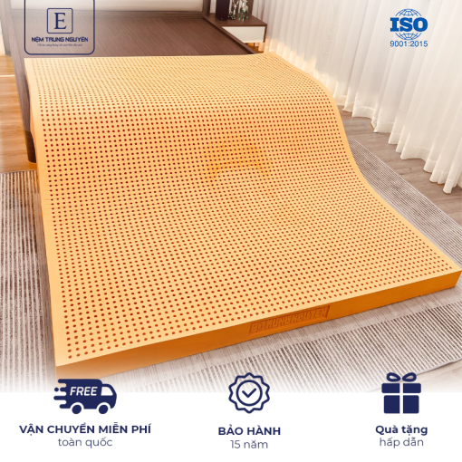 Nệm cao su thiên nhiên Trung Nguyên Gold 1m2 x 2m