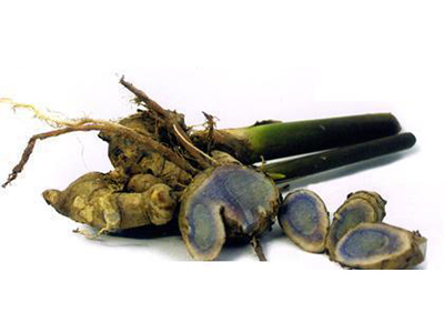 Nghệ đen