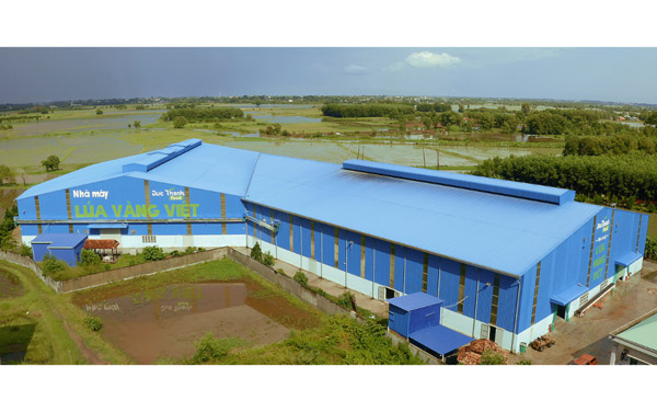 Nhà máy gạo Lúa Vàng Việt