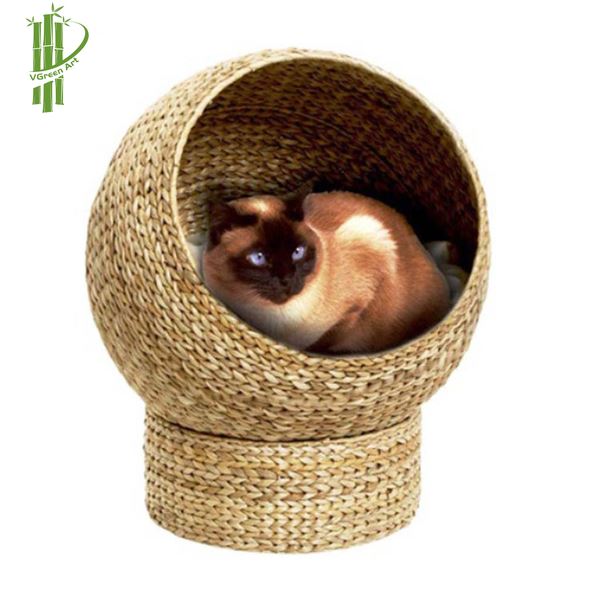Nhà mèo lục bình