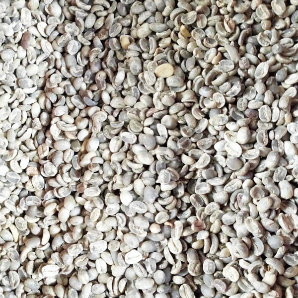 Hạt cafe nhân Arabica vỏ lụa Cầu Đất