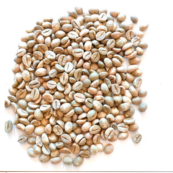 Hạt cafe nhân Robusta vỏ lụa
