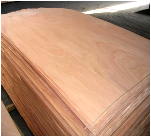 Veneer bóc tròn