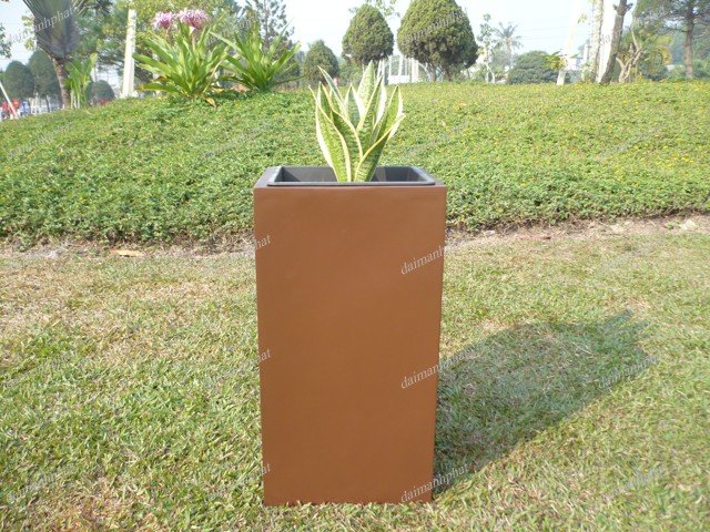 Chậu Hoa Nhựa Poly