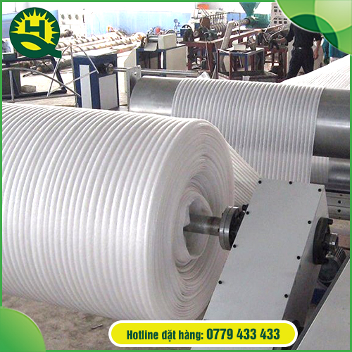 PE Foam dạng cuộn