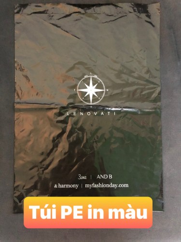Túi PE in màu