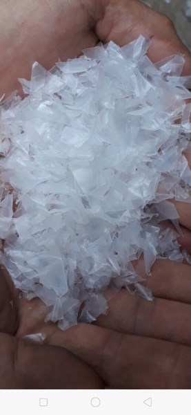 PP trắng trong